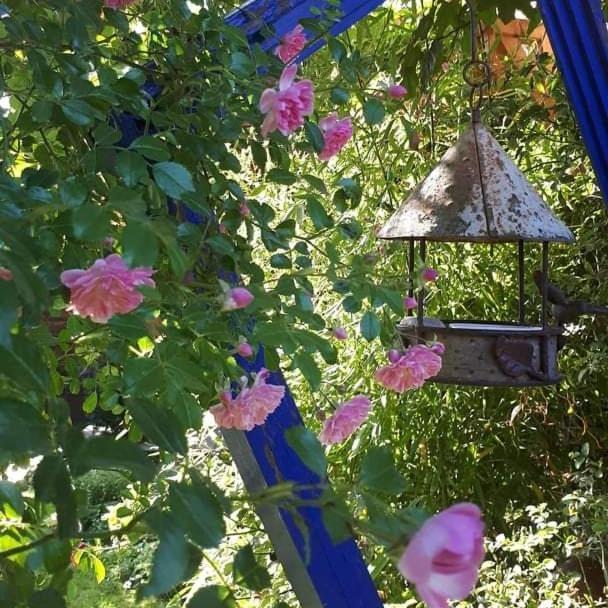 La Cabane Du Bon Chemin ,Spa Laval  Extérieur photo